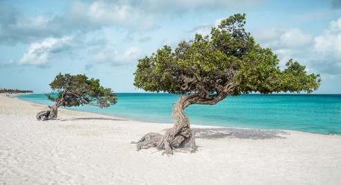 Aruba